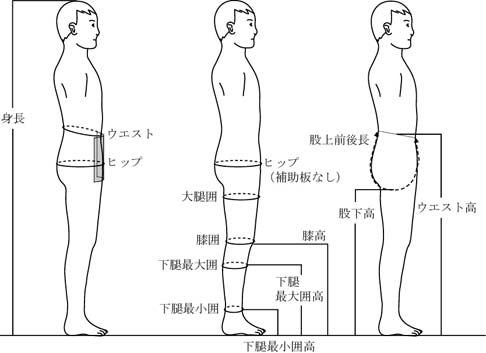 平均 ウエスト サイズ